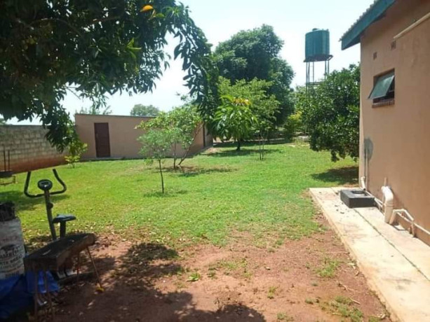 3-bedroom-farm-house-for-rent-in-new-kasama-big-7