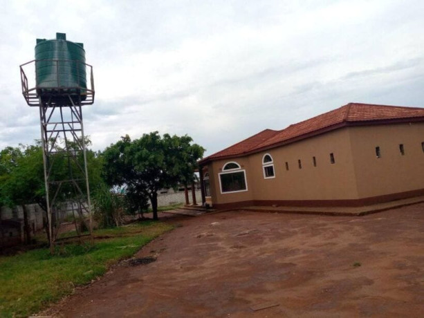 4-bedroom-standalone-house-rent-in-lilayi-big-4
