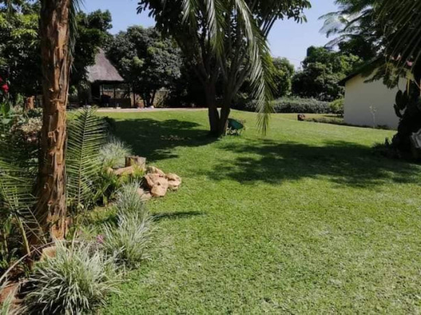 3-bedroom-standalone-house-for-rent-in-phi-big-4