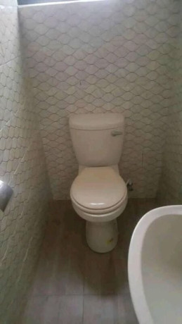 2-bedroom-flat-for-rent-in-chalala-big-3