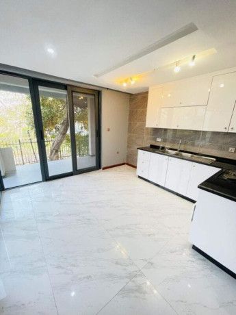 2-bedroom-apartment-for-rent-in-kingsland-city-big-3