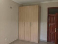 3-bedroom-apartments-for-rent-in-kalundu-small-8