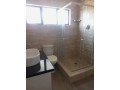4-bedroom-duplex-apartment-for-rent-in-meanwood-ibex-small-5
