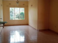 5-bedroom-house-for-rent-in-ibex-hill-small-4