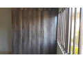 2-bedroom-apartment-for-rent-in-chainama-small-5
