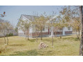 3-bedroom-house-for-rent-in-ibex-meanwood-small-2