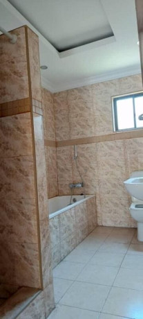 2-bedroom-flat-for-rent-in-avondale-big-7
