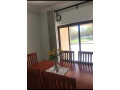 2-bedroom-fully-furnished-apartment-for-rent-in-new-kasama-small-4