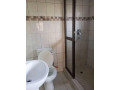 3-bedroom-flat-for-rent-in-salama-park-small-7