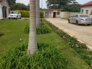 1-bedroom-apartment-for-rent-in-ibex-hill