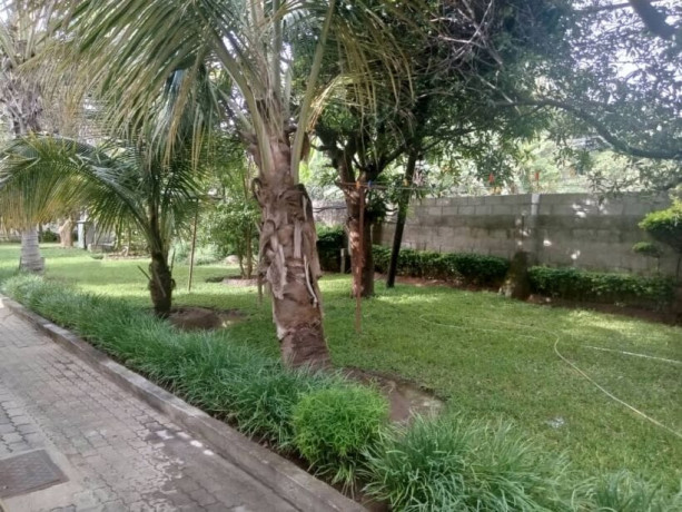 4-bedroom-house-for-rent-in-roma-big-9