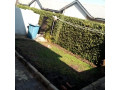 2-bedroom-flat-for-rent-in-salama-park-small-5