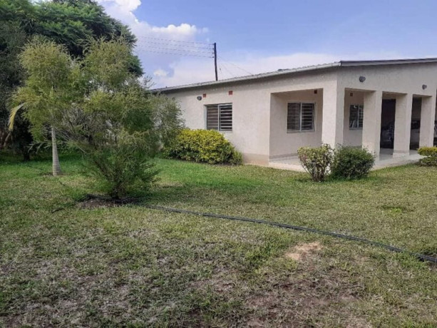 3-bedroom-house-for-rent-in-ibex-big-7