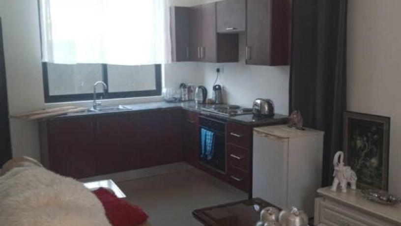 1-bedroom-flat-for-rent-in-salama-park-big-2