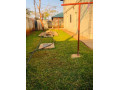 3-bedroom-house-for-rent-in-ibex-meanwood-small-1