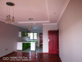 2-bedroom-flat-for-rent-in-roma-park-small-3