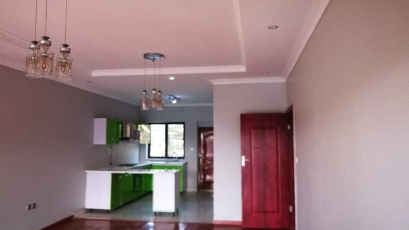 2-bedroom-flat-for-rent-in-roma-park-big-3