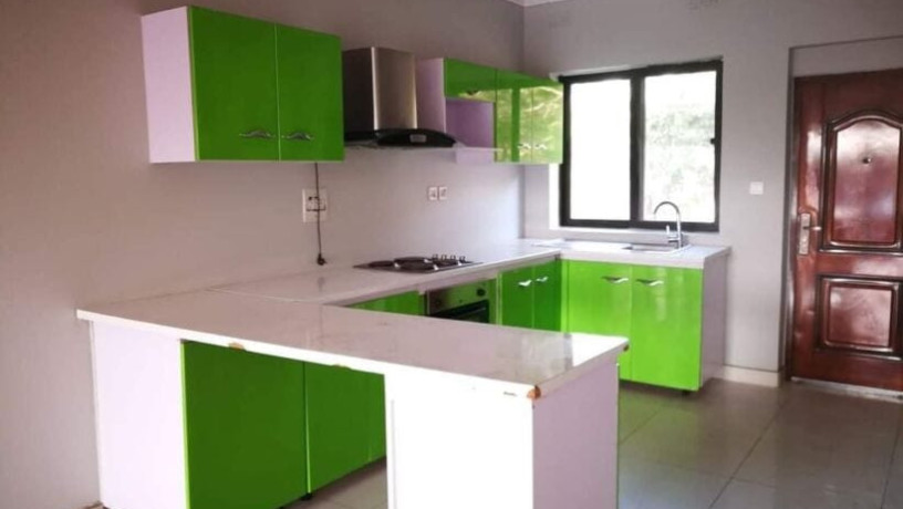 2-bedroom-flat-for-rent-in-roma-park-big-7