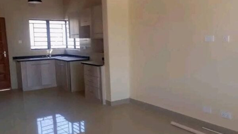 2-bedroom-flat-for-rent-in-chilenje-big-2