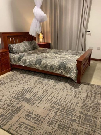 3-bedroom-fully-furnished-house-for-rent-in-foxdale-big-4
