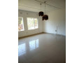 3-bedroom-house-for-rent-in-ibex-hill-small-2