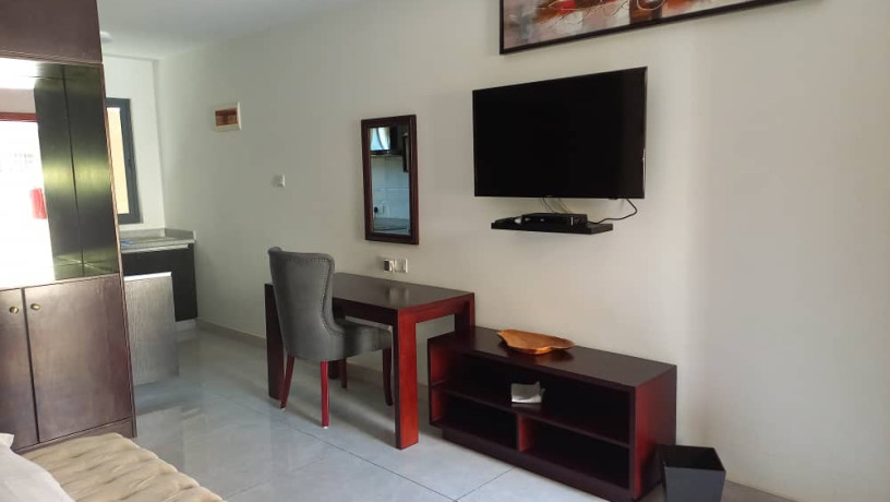 1-bedroom-fully-furnished-apartment-for-rent-big-1