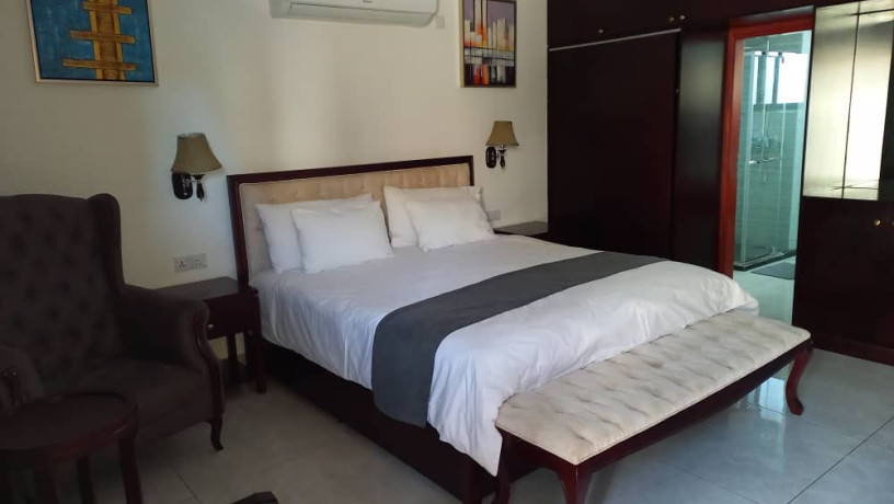 1-bedroom-fully-furnished-apartment-for-rent-big-0