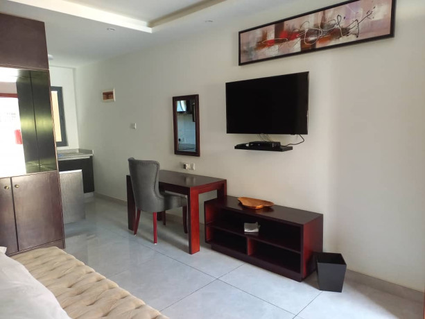 1-bedroom-fully-furnished-apartment-for-rent-big-1
