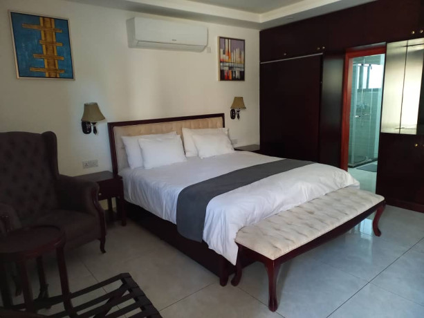 1-bedroom-fully-furnished-apartment-for-rent-big-0