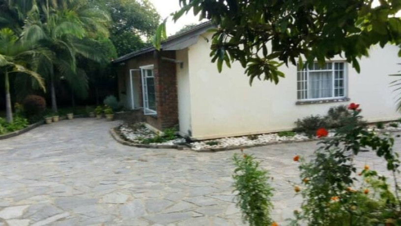 4-bedroom-standalone-house-for-rent-in-olympia-big-8