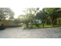 4-bedroom-standalone-house-for-rent-in-olympia-small-3