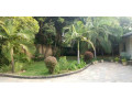 4-bedroom-standalone-house-for-rent-in-olympia-small-2