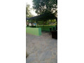 4-bedroom-standalone-house-for-rent-in-olympia-small-7