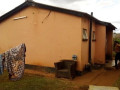 2-bedroom-house-for-rent-in-nyumba-yanga-small-5