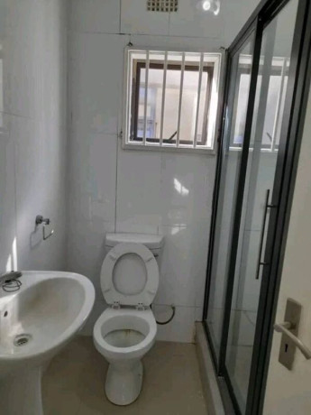 1-bedroom-flat-for-rent-in-mass-media-big-7