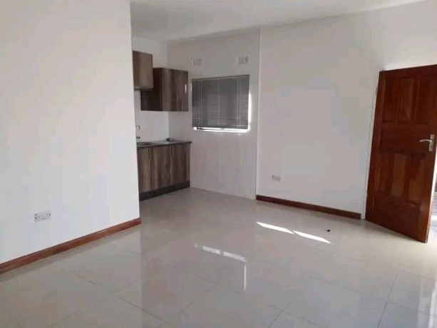 1-bedroom-flat-for-rent-in-mass-media-big-3