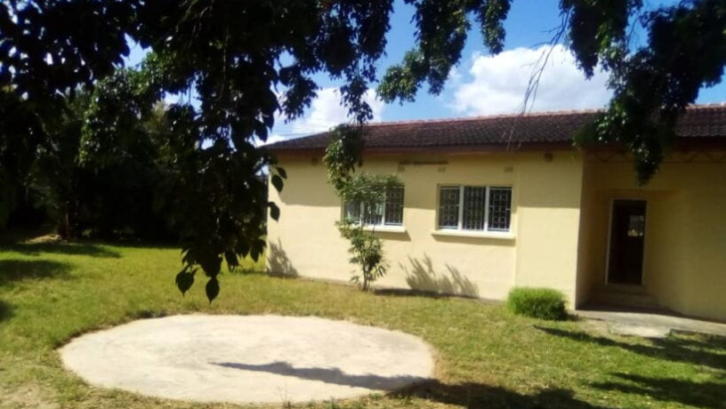 3-bedroom-house-for-rent-in-ibex-hill-big-2