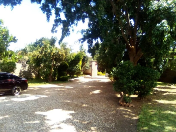 3-bedroom-house-for-rent-in-ibex-hill-big-9