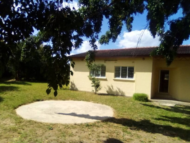 3-bedroom-house-for-rent-in-ibex-hill-big-2