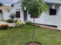 3-bedroom-house-for-rent-in-ibex-hill-small-7