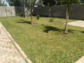 3-bedroom-house-for-rent-in-ibex-hill-small-3