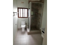 2-bedroom-apartment-for-rent-in-new-kasama-small-5