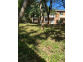 2-bedroom-fully-furnished-apartment-for-rent-in-rhodespark-small-1