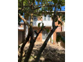 2-bedroom-fully-furnished-apartment-for-rent-in-rhodespark-small-5