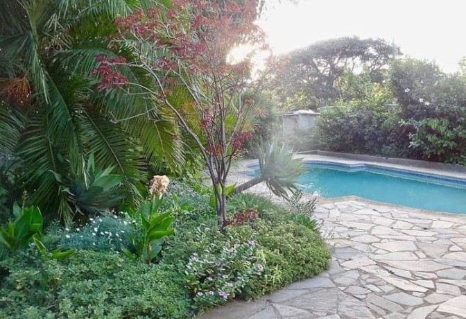 4-bedroom-house-for-rent-in-roma-big-8