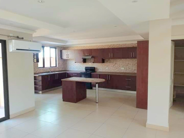 4-bedroom-fully-furnished-apartment-for-rent-in-jesmondine-big-7