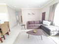 2-bedroom-fully-furnished-apartment-for-rent-in-roma-small-2