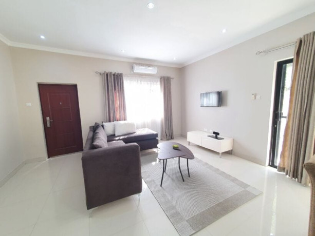 2-bedroom-fully-furnished-apartment-for-rent-in-roma-big-4