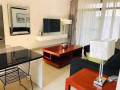 1-bedroom-apartment-for-rent-in-roma-park-small-1