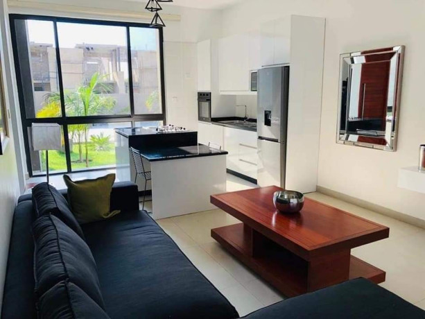 1-bedroom-apartment-for-rent-in-roma-park-big-2